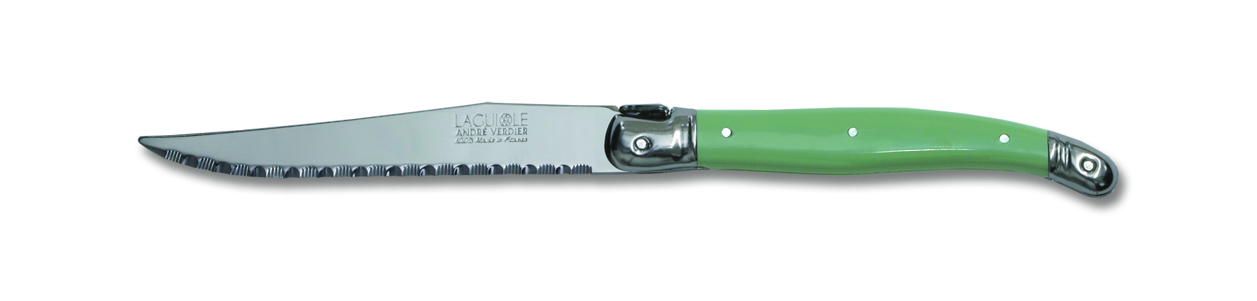 Laguiole DEBUTANT steak knife -Mint green-